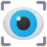 Vision Icon