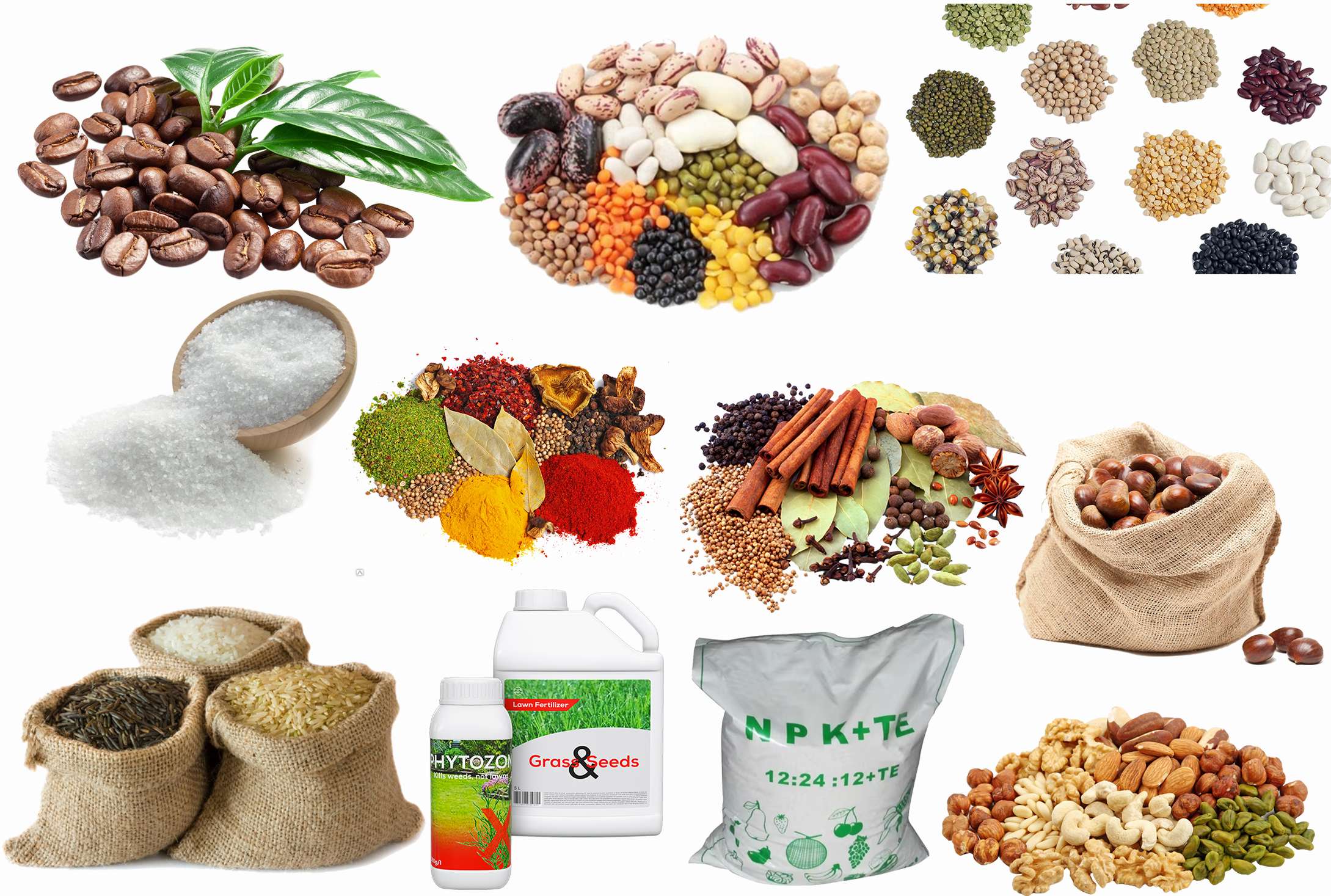 portfolio-item-img-1